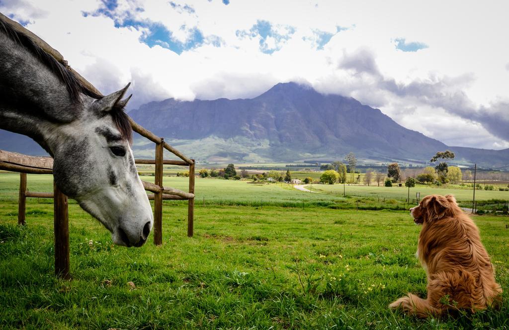 Reflections Guest Farm Villa Tulbagh Exterior photo